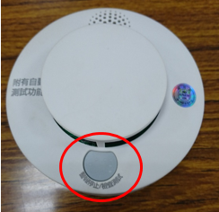 Test button Fig. 1
